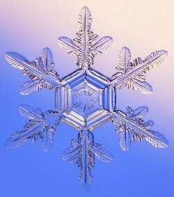 snowflake-1105-1a